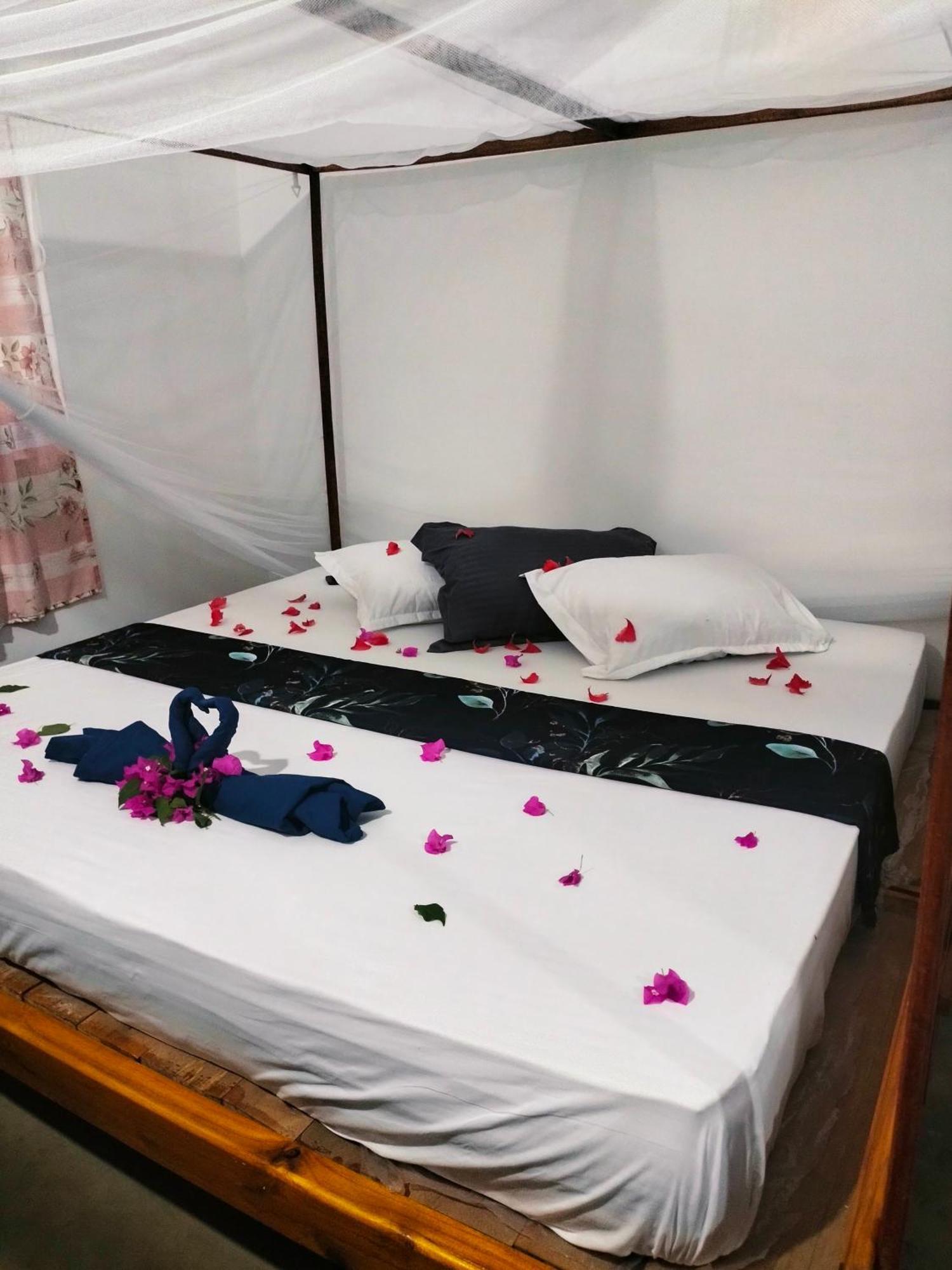 Costels Arugambay Hostel Arugam Bay Kültér fotó